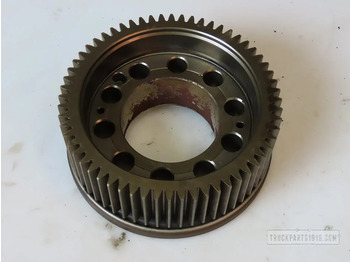 : fotografia v hlavičke