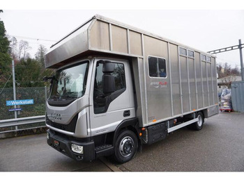 Leasing Iveco EUROCARGO 80-190 Lószállító Iveco EUROCARGO 80-190 Lószállító: obrázok 1 Leasing Iveco EUROCARGO 80-190 Lószállító Iveco EUROCARGO 80-190 Lószállító: obrázok 1