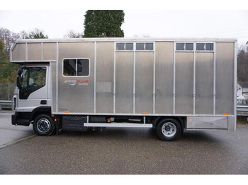 Leasing Iveco EUROCARGO 80-190 Lószállító Iveco EUROCARGO 80-190 Lószállító: obrázok 4 Leasing Iveco EUROCARGO 80-190 Lószállító Iveco EUROCARGO 80-190 Lószállító: obrázok 4