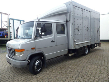 Nákladné auto na prepravu koní Mercedes-Benz Vario 818 Doka horse transporter + Tail lift: obrázok 3 Nákladné auto na prepravu koní Mercedes-Benz Vario 818 Doka horse transporter + Tail lift: obrázok 3