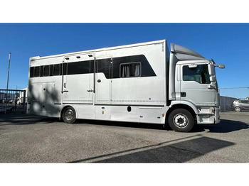 Nákladné auto na prepravu koní MAN TGM 15.250