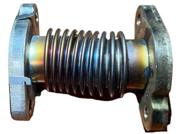 Výfukový systém MAN 2022: obrázok 2