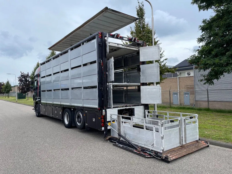 DAF XF 460 2017 berdex 3 lagen varkens - Přepravník zvířat: obrázok 4 DAF XF 460 2017 berdex 3 lagen varkens - Přepravník zvířat: obrázok 4