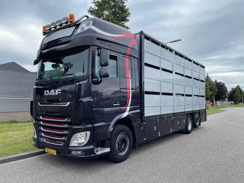 DAF XF 460 2017 berdex 3 lagen varkens - Přepravník zvířat: obrázok 1 DAF XF 460 2017 berdex 3 lagen varkens - Přepravník zvířat: obrázok 1
