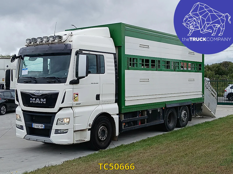 MAN TGX 460 - Přepravník zvířat: obrázok 1 MAN TGX 460 - Přepravník zvířat: obrázok 1