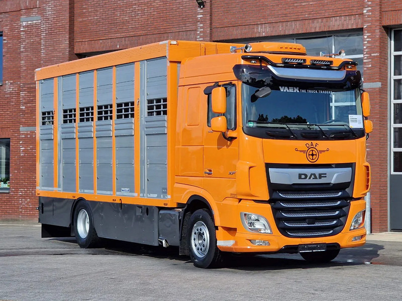 DAF XF 530 4x2 - Livestock Menke 2 deck water & ventilation - Přepravník zvířat: obrázok 3 DAF XF 530 4x2 - Livestock Menke 2 deck water & ventilation - Přepravník zvířat: obrázok 3