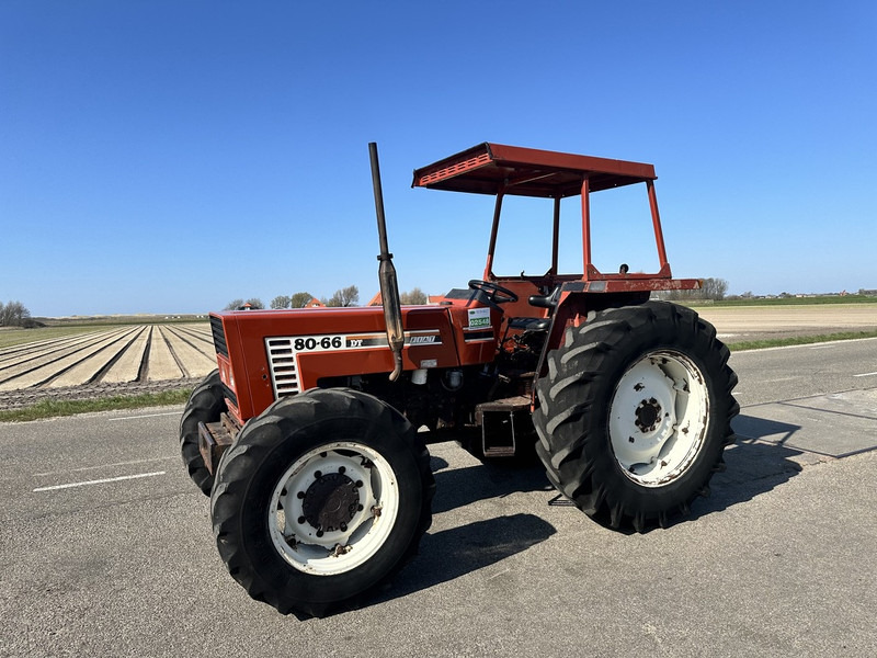 Fiat 80-66 DT - Traktor: obrázok 1 Fiat 80-66 DT - Traktor: obrázok 1