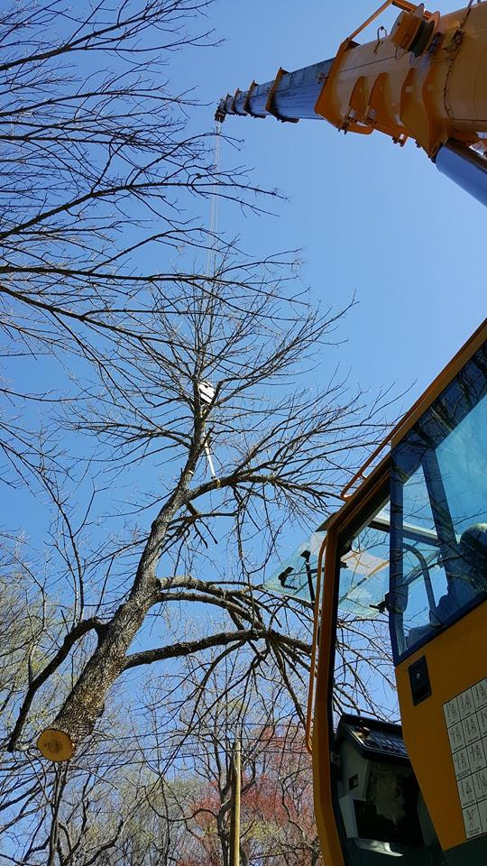 Liebherr LTM 1120-1 - Autožeriav: obrázok 4 Liebherr LTM 1120-1 - Autožeriav: obrázok 4