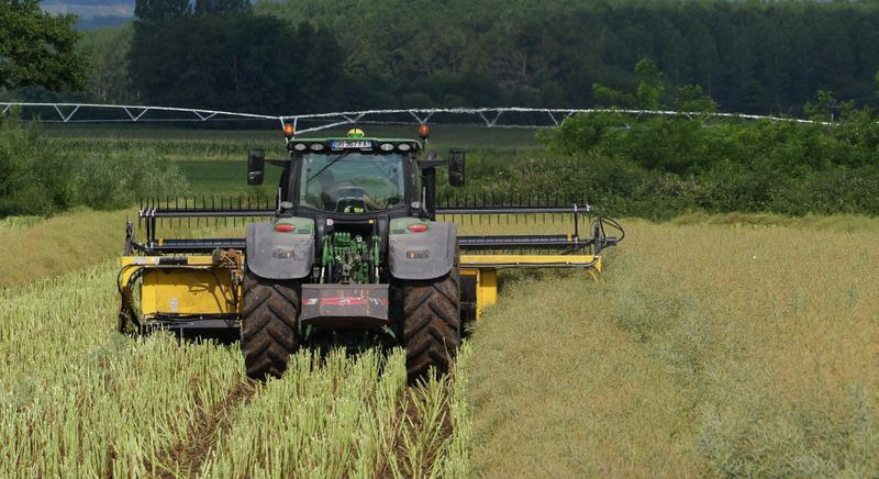 Honey Bee ST 25 - BANDSCHWADMÄHWERK - Adaptér na obilie: obrázok 1 Honey Bee ST 25 - BANDSCHWADMÄHWERK - Adaptér na obilie: obrázok 1