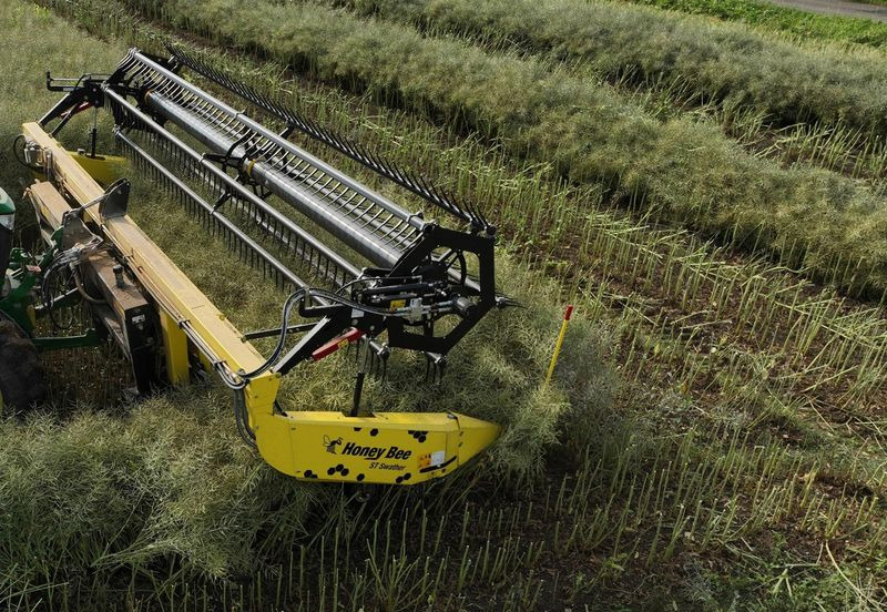 Honey Bee ST 30 - BANDSCHWADMÄHWERK - Adaptér na obilie: obrázok 3 Honey Bee ST 30 - BANDSCHWADMÄHWERK - Adaptér na obilie: obrázok 3