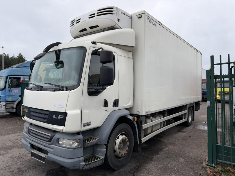 DAF LF 55.300 - 19T FRIGO THERMOKING TS-300e - TAILLIFT - BOX 6m45 x 2m49 x 2m49 - EURO 5 - A/C - BE TRUCK - Chladirenské nákladné vozidlo: obrázok 3 DAF LF 55.300 - 19T FRIGO THERMOKING TS-300e - TAILLIFT - BOX 6m45 x 2m49 x 2m49 - EURO 5 - A/C - BE TRUCK - Chladirenské nákladné vozidlo: obrázok 3