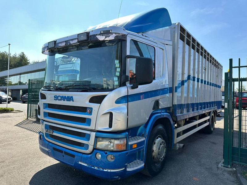 Scania P310 4x2 LIVESTOCK / VEEWAGEN / TIERTRANSPORT / BETAILLERE - ALU BOX 7m - MANUAL - A/C - BELGIAN TRUCK - Přepravník zvířat: obrázok 3 Scania P310 4x2 LIVESTOCK / VEEWAGEN / TIERTRANSPORT / BETAILLERE - ALU BOX 7m - MANUAL - A/C - BELGIAN TRUCK - Přepravník zvířat: obrázok 3