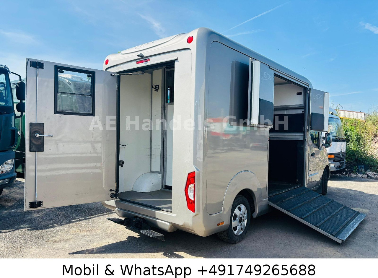 Renault Master STX Horsebox *Haras/2-Horses/3-Sitze - Príves na prepravu koní: obrázok 5 Renault Master STX Horsebox *Haras/2-Horses/3-Sitze - Príves na prepravu koní: obrázok 5