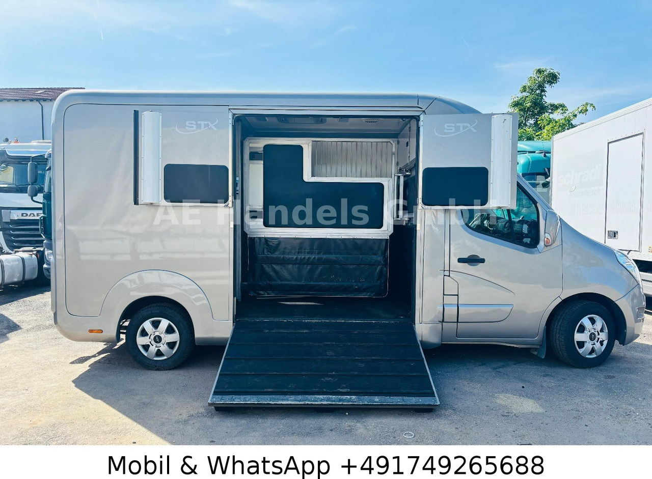 Renault Master STX Horsebox *Haras/2-Horses/3-Sitze - Príves na prepravu koní: obrázok 3 Renault Master STX Horsebox *Haras/2-Horses/3-Sitze - Príves na prepravu koní: obrázok 3