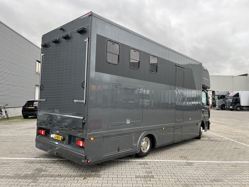 Mercedes-Benz Atego 816 / Horse Truck - 3 Horses / Camper / NL Truck - Príves na prepravu koní: obrázok 2 Mercedes-Benz Atego 816 / Horse Truck - 3 Horses / Camper / NL Truck - Príves na prepravu koní: obrázok 2