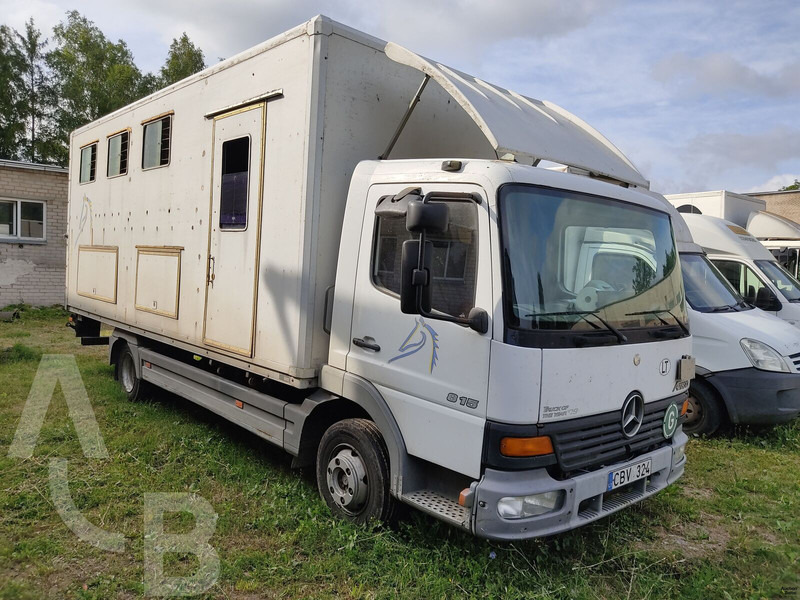 Mercedes-Benz 815 - Nákladné auto na prepravu koní: obrázok 1 Mercedes-Benz 815 - Nákladné auto na prepravu koní: obrázok 1