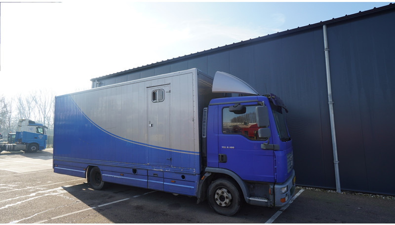 MAN TGL 8.180 HORSE TRANPORT 515.000KM - Nákladné auto na prepravu koní: obrázok 4 MAN TGL 8.180 HORSE TRANPORT 515.000KM - Nákladné auto na prepravu koní: obrázok 4