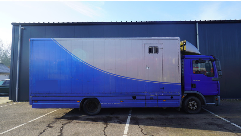 MAN TGL 8.180 HORSE TRANPORT 515.000KM - Nákladné auto na prepravu koní: obrázok 2 MAN TGL 8.180 HORSE TRANPORT 515.000KM - Nákladné auto na prepravu koní: obrázok 2