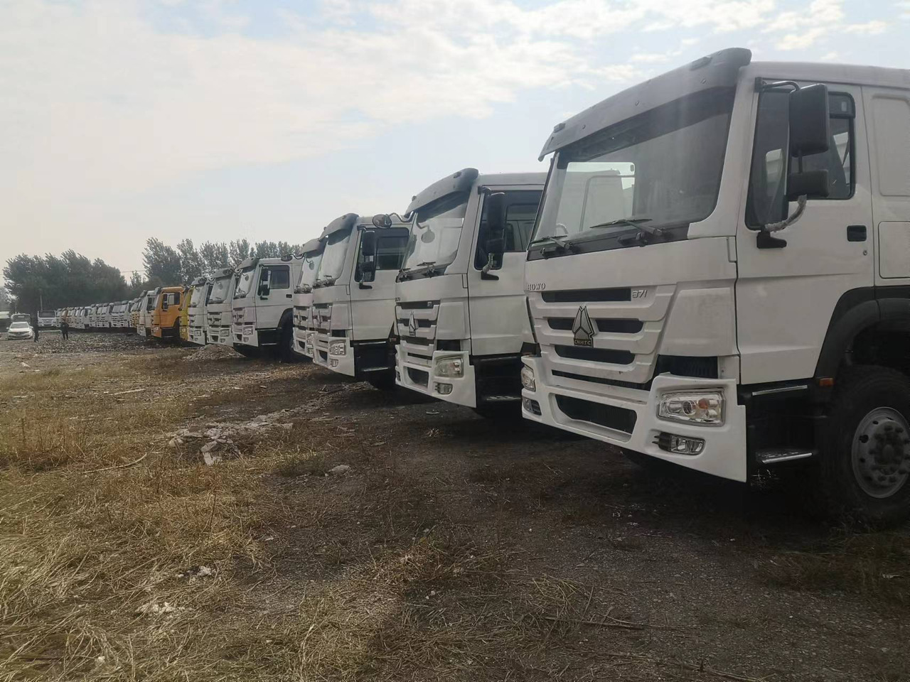 SINOTRUK HOWO WITH FENCE LIVESTOCK DUMP TRUCK - Sklápač: obrázok 1 SINOTRUK HOWO WITH FENCE LIVESTOCK DUMP TRUCK - Sklápač: obrázok 1
