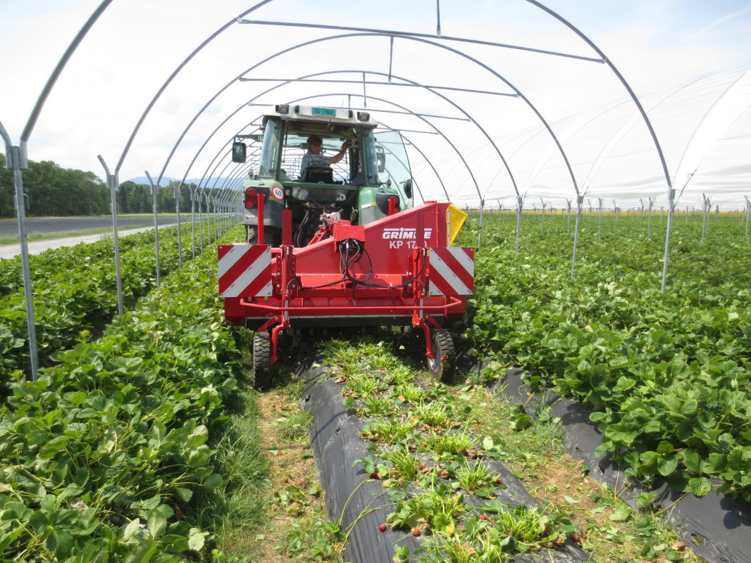 Grimme KP 1700 - Kombajn na sběr hroznů: obrázok 2 Grimme KP 1700 - Kombajn na sběr hroznů: obrázok 2