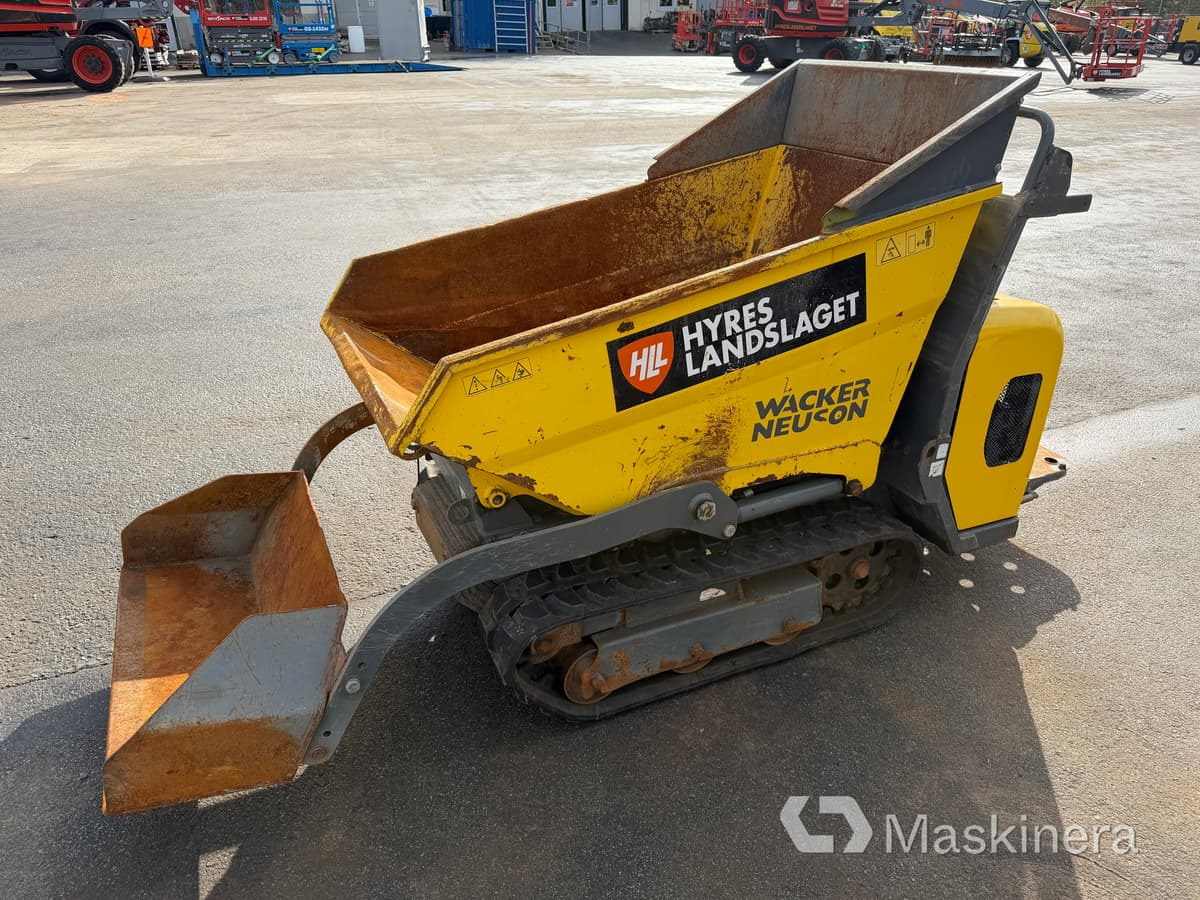 Banddumper Wacker Neuson DT08D - Pásový damper: obrázok 1 Banddumper Wacker Neuson DT08D - Pásový damper: obrázok 1
