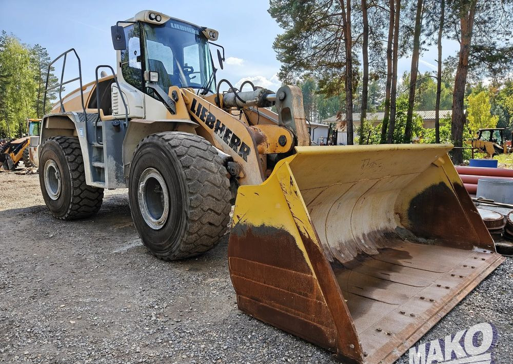 Leasing  Liebherr L566 Liebherr L566: obrázok 6