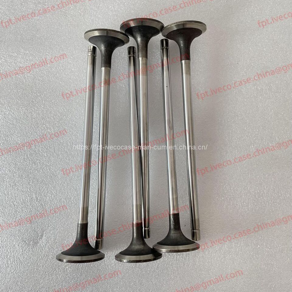 FPT IVECO CASE Cursor11 F3GFE613A B001 5801863562/5801690111 valve 5801487019 - Ventil: obrázok 1 FPT IVECO CASE Cursor11 F3GFE613A B001 5801863562/5801690111 valve 5801487019 - Ventil: obrázok 1