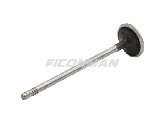 Iveco Daily Fiat Ducato F1C Intake Valve 504072531 504238926 - Ventil pre Dodávka: obrázok 1 Iveco Daily Fiat Ducato F1C Intake Valve 504072531 504238926 - Ventil pre Dodávka: obrázok 1