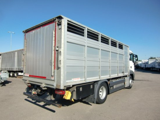MAN TGS 18.420 Tiertransporter,Euro 6, Manual Seilwinde, el. Ladebordwand Voll Luft - Nákladné auto na prepravu koní: obrázok 4 MAN TGS 18.420 Tiertransporter,Euro 6, Manual Seilwinde, el. Ladebordwand Voll Luft - Nákladné auto na prepravu koní: obrázok 4