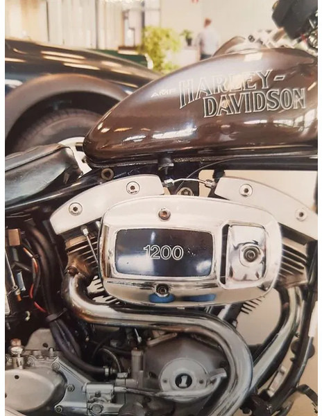 Leasing Harley-Davidson FXE SUPER GLIDE.... 1200 AMF first paint Harley-Davidson FXE SUPER GLIDE.... 1200 AMF first paint: obrázok 9