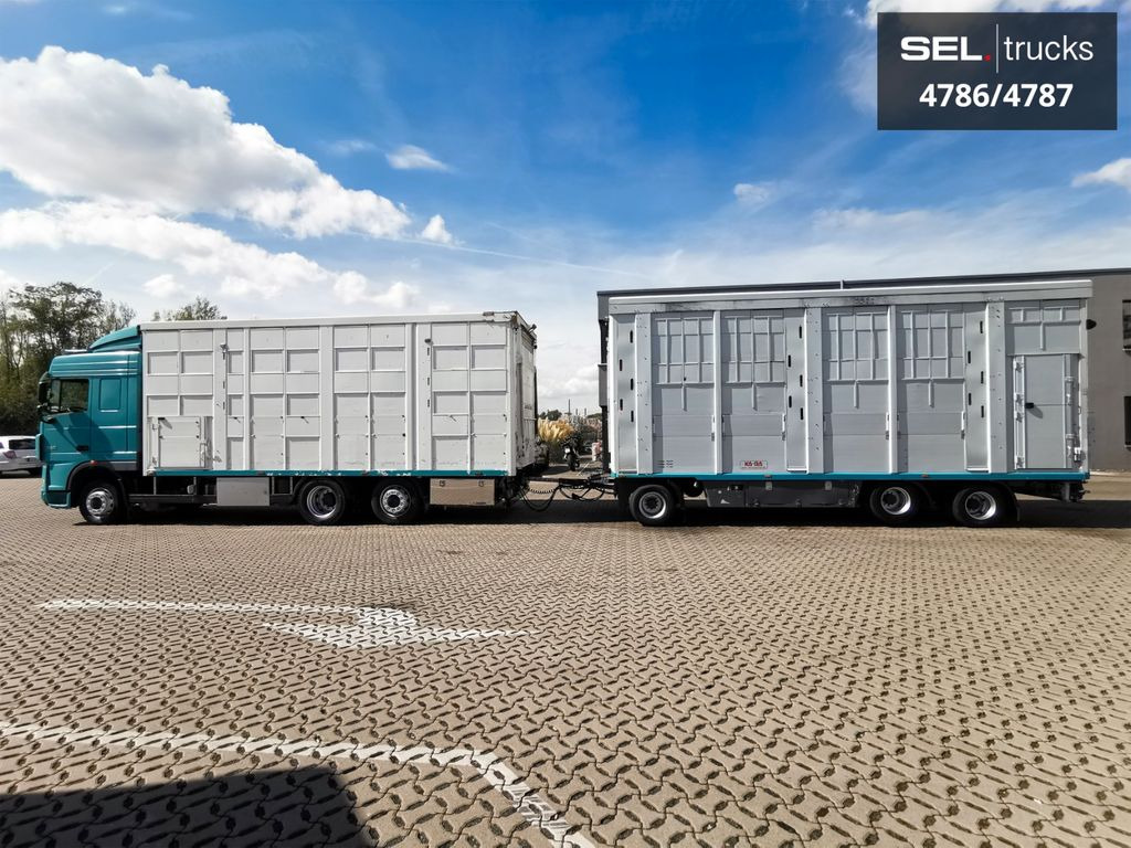 DAF XF 105.460 / Intarder / 4 Stock / KOMPLETT ! - Přepravník zvířat: obrázok 1 DAF XF 105.460 / Intarder / 4 Stock / KOMPLETT ! - Přepravník zvířat: obrázok 1