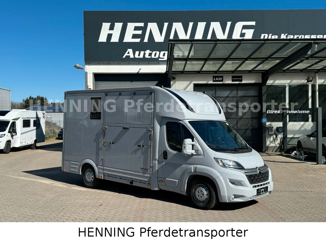 Citroën Jumper 3 - Sitzer *AUFBAU NEU* - Nákladné auto na prepravu koní: obrázok 1 Citroën Jumper 3 - Sitzer *AUFBAU NEU* - Nákladné auto na prepravu koní: obrázok 1