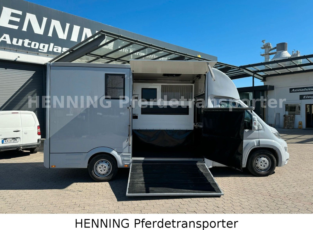 Citroën Jumper 3 - Sitzer *AUFBAU NEU* - Nákladné auto na prepravu koní: obrázok 5 Citroën Jumper 3 - Sitzer *AUFBAU NEU* - Nákladné auto na prepravu koní: obrázok 5