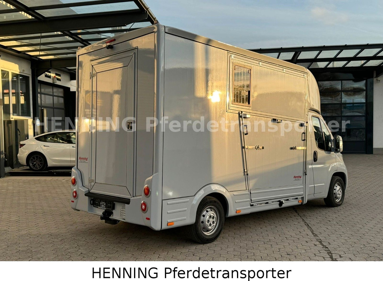 Citroën Jumper 3 - Sitzer - Přepravník zvířat: obrázok 3 Citroën Jumper 3 - Sitzer - Přepravník zvířat: obrázok 3