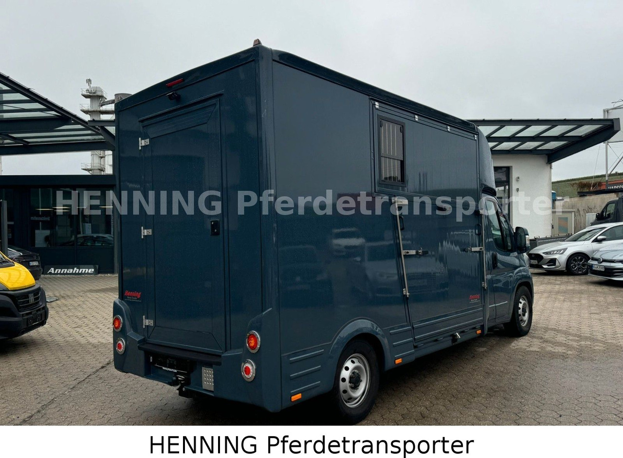Fiat Ducato *AUTOMATIK* 3 - Sitzer - Přepravník zvířat: obrázok 3 Fiat Ducato *AUTOMATIK* 3 - Sitzer - Přepravník zvířat: obrázok 3