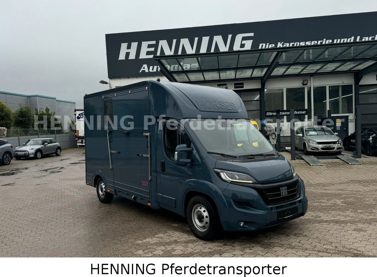 Fiat Ducato *AUTOMATIK* 3 - Sitzer - Přepravník zvířat: obrázok 1 Fiat Ducato *AUTOMATIK* 3 - Sitzer - Přepravník zvířat: obrázok 1