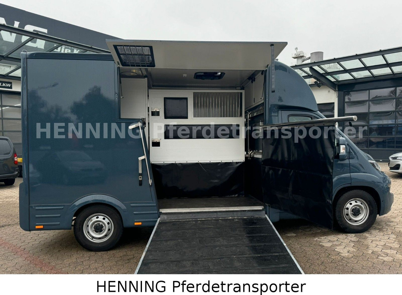 Fiat Ducato *AUTOMATIK* 3 - Sitzer - Přepravník zvířat: obrázok 4 Fiat Ducato *AUTOMATIK* 3 - Sitzer - Přepravník zvířat: obrázok 4