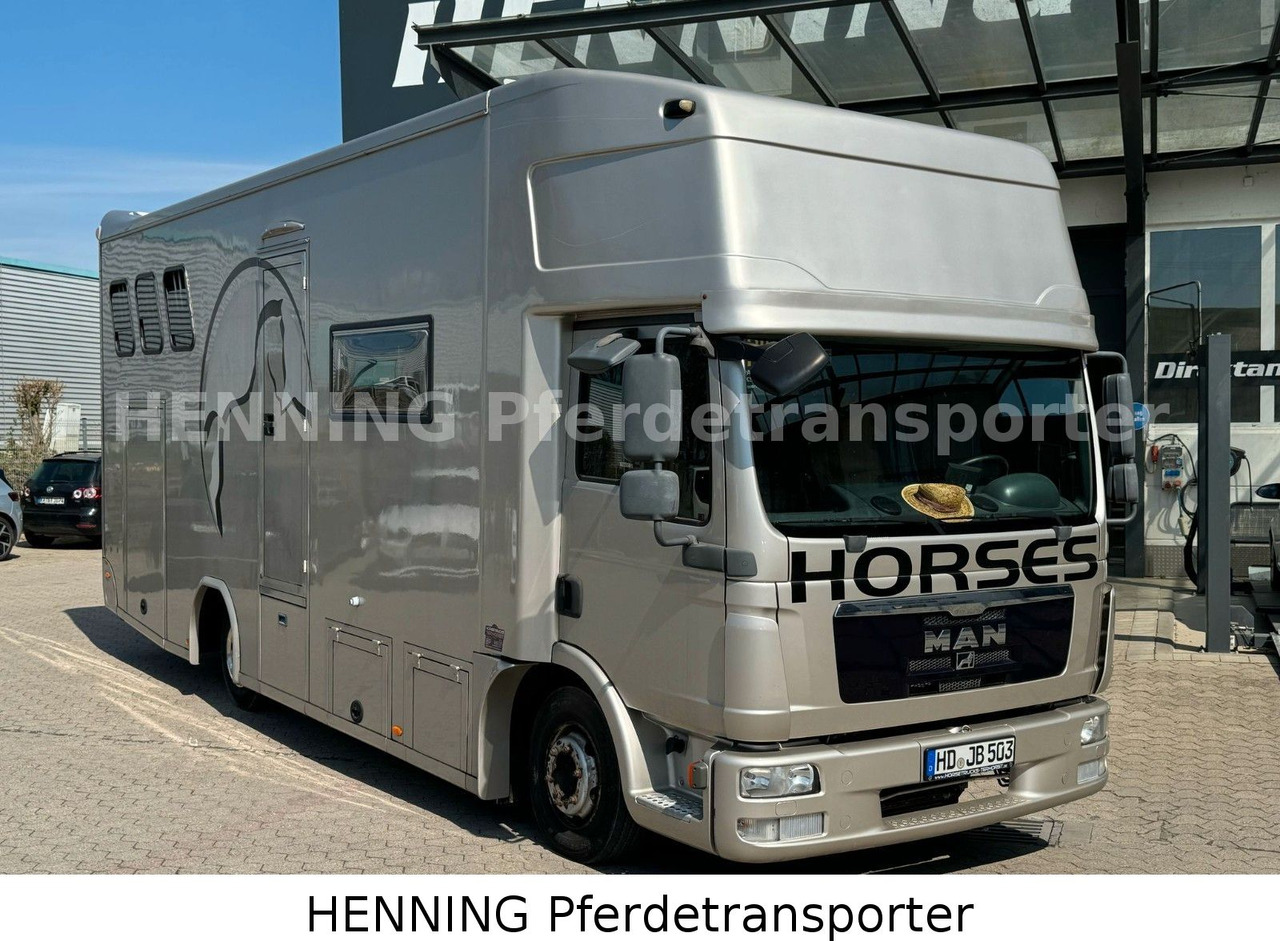 MAN TGL PFERDETRANSPORTER RJH - Přepravník zvířat: obrázok 3 MAN TGL PFERDETRANSPORTER RJH - Přepravník zvířat: obrázok 3