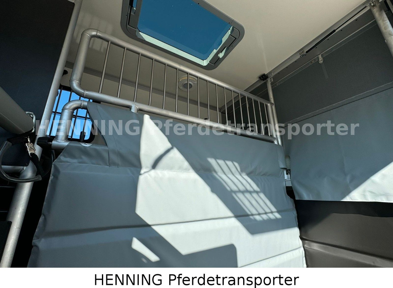 Leasing  Nissan Interstar 3 - Sitzer Nissan Interstar 3 - Sitzer: obrázok 9