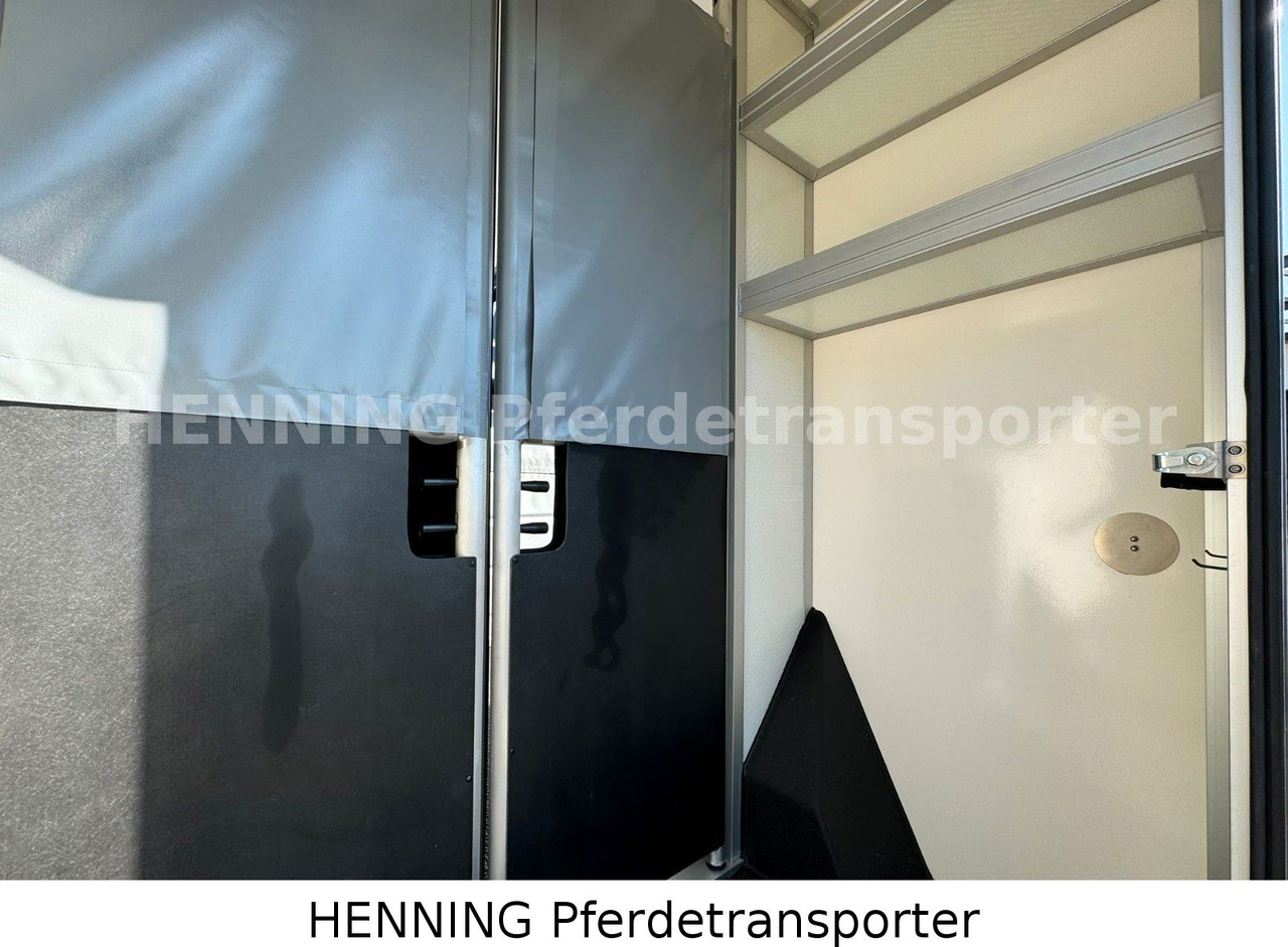 Leasing  Nissan Interstar 3 - Sitzer Nissan Interstar 3 - Sitzer: obrázok 13