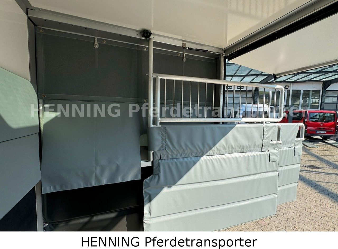 Leasing  Nissan Interstar 3 - Sitzer Nissan Interstar 3 - Sitzer: obrázok 11