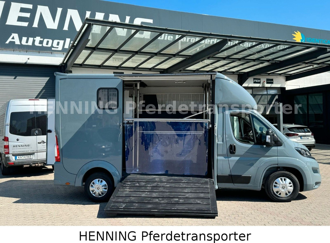 Peugeot Boxer 3-Sitzer *NEUWAGEN* 1000 KG NUTZLAST - Nákladné auto na prepravu koní: obrázok 4 Peugeot Boxer 3-Sitzer *NEUWAGEN* 1000 KG NUTZLAST - Nákladné auto na prepravu koní: obrázok 4