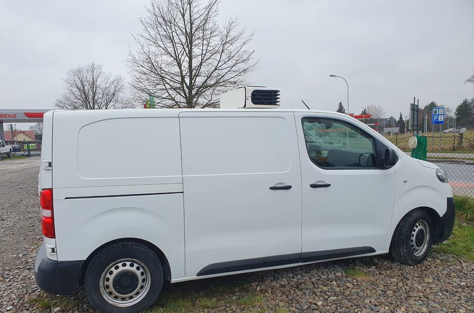 Citroen JUMPY CHLODNIA MROZNIA CARRIER+230V KLIMA EURO6 - Chladiarenská dodávka: obrázok 5 Citroen JUMPY CHLODNIA MROZNIA CARRIER+230V KLIMA EURO6 - Chladiarenská dodávka: obrázok 5