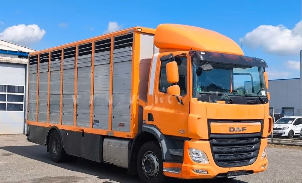 DAF CF 400 Menke Einstock | Transport zwierząt jednopoziomowy | 2 kratownice do bydła| Retarder | Euro 6 - Přepravník zvířat: obrázok 5 DAF CF 400 Menke Einstock | Transport zwierząt jednopoziomowy | 2 kratownice do bydła| Retarder | Euro 6 - Přepravník zvířat: obrázok 5