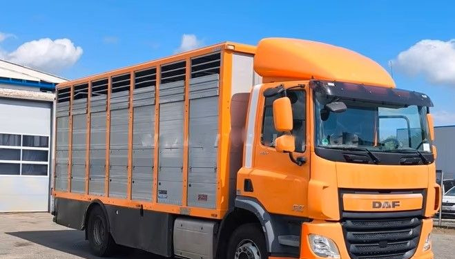 DAF CF 400 Menke Einstock | Transport zwierząt jednopoziomowy | 2 kratownice do bydła| Retarder | Euro 6 - Přepravník zvířat: obrázok 1 DAF CF 400 Menke Einstock | Transport zwierząt jednopoziomowy | 2 kratownice do bydła| Retarder | Euro 6 - Přepravník zvířat: obrázok 1