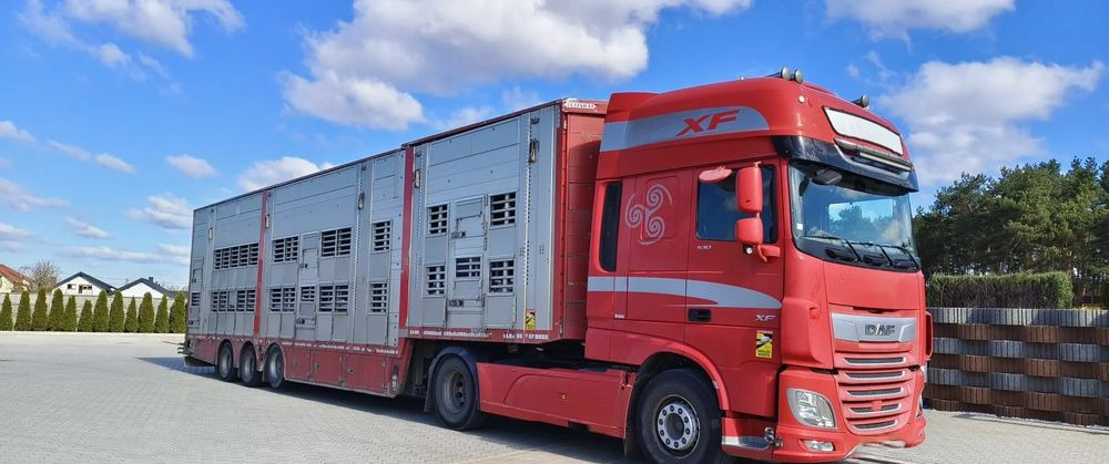 Pezzaioli SBA32/hydrauliczny dach/hydrauliczna rampa/ 3 poziomy/ 2xbydło -3xtrzoda/wentylatory/poidła/sterowanie pilotem - Náves na přepravu zvířat: obrázok 1 Pezzaioli SBA32/hydrauliczny dach/hydrauliczna rampa/ 3 poziomy/ 2xbydło -3xtrzoda/wentylatory/poidła/sterowanie pilotem - Náves na přepravu zvířat: obrázok 1