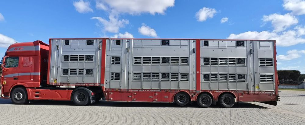 Pezzaioli SBA32/hydrauliczny dach/hydrauliczna rampa/ 3 poziomy/ 2xbydło -3xtrzoda/wentylatory/poidła/sterowanie pilotem - Náves na přepravu zvířat: obrázok 3 Pezzaioli SBA32/hydrauliczny dach/hydrauliczna rampa/ 3 poziomy/ 2xbydło -3xtrzoda/wentylatory/poidła/sterowanie pilotem - Náves na přepravu zvířat: obrázok 3