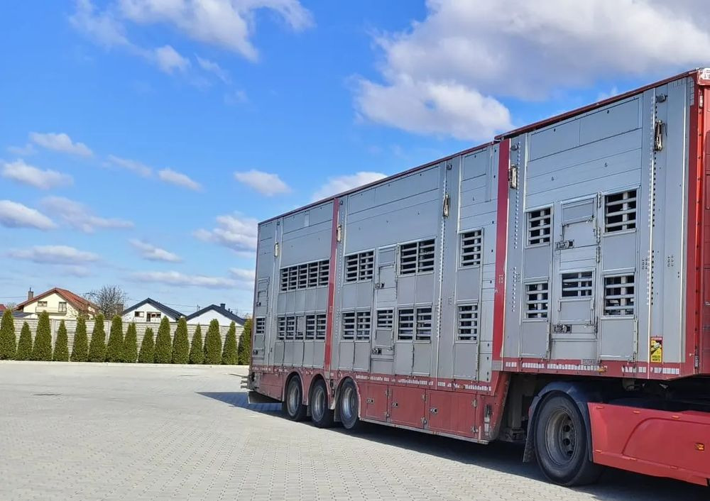 Pezzaioli SBA32/hydrauliczny dach/hydrauliczna rampa/ 3 poziomy/ 2xbydło -3xtrzoda/wentylatory/poidła/sterowanie pilotem - Náves na přepravu zvířat: obrázok 2 Pezzaioli SBA32/hydrauliczny dach/hydrauliczna rampa/ 3 poziomy/ 2xbydło -3xtrzoda/wentylatory/poidła/sterowanie pilotem - Náves na přepravu zvířat: obrázok 2