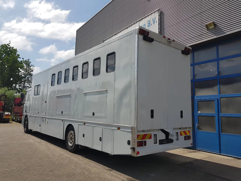 DAF 95.350 Paardenwagen met zitverblijf 7 paarden 7 horses - Nákladné auto na prepravu koní: obrázok 4 DAF 95.350 Paardenwagen met zitverblijf 7 paarden 7 horses - Nákladné auto na prepravu koní: obrázok 4