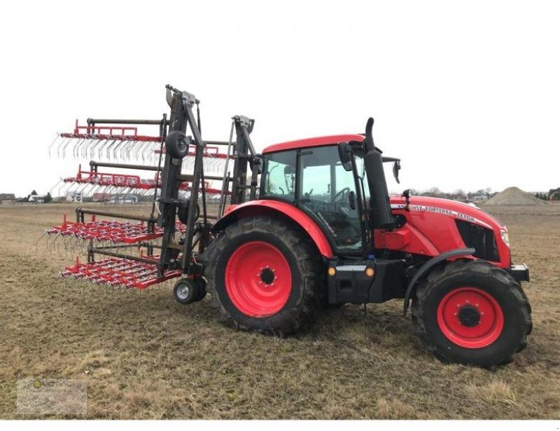 Vemac Wiesenstriegel 12m Striegel Wiesenschleppe Hackstriegel NEU - Lúčne brány: obrázok 2 Vemac Wiesenstriegel 12m Striegel Wiesenschleppe Hackstriegel NEU - Lúčne brány: obrázok 2